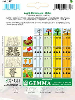 Gemma Semințe Endive (Cichorium) 10gr/5500buc