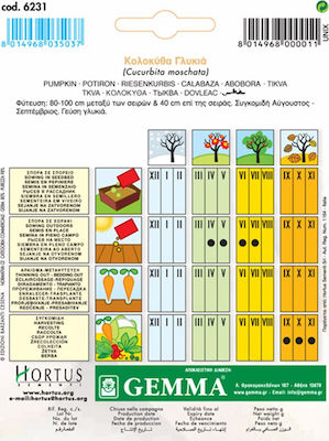 Gemma Samen Kürbisς Zucchini 4.5gr/23Stück