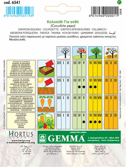 Gemma Seeds Pumpkinς Zucchini 5gr/30pcs