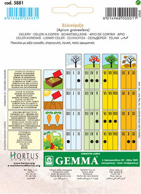 Gemma Semințe Țelină de rădăcinăς 4gr/10000buc