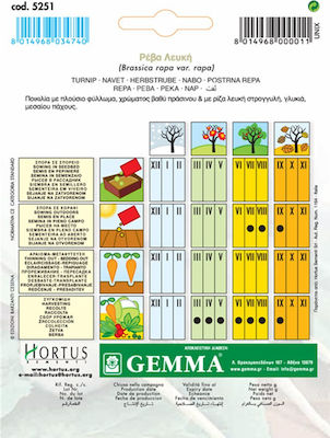 Gemma Σπόροι Ρέβα 10gr/5000τμχ