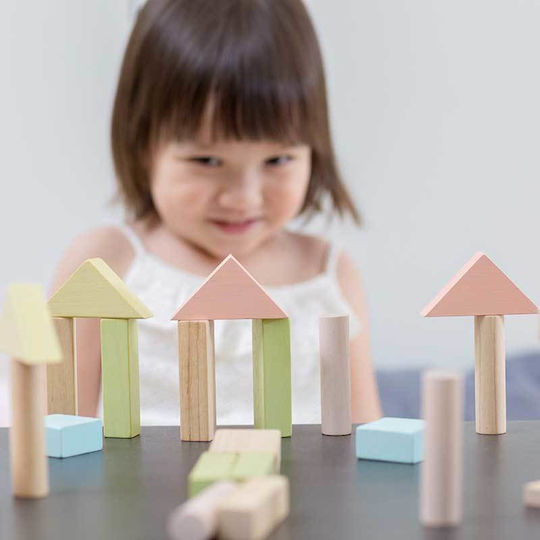 Plan Toys Cuburi De Construit Din Lemn Pentru 2+ Ani 40 Bucăți