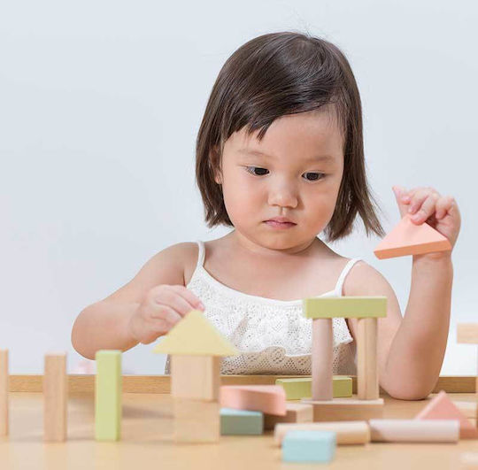 Plan Toys Cuburi De Construit Din Lemn Pentru 2+ Ani 40 Bucăți