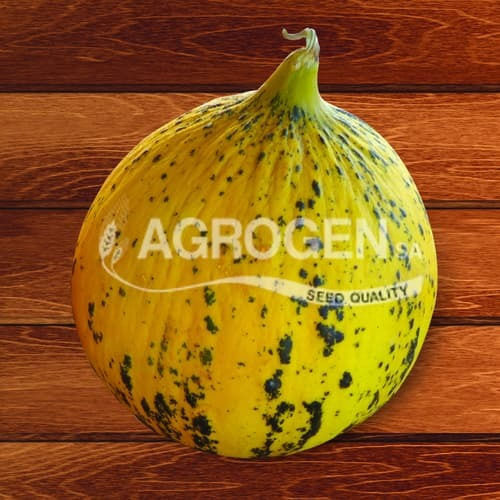 Agrogen Seeds Melon Thracian Green 2gr