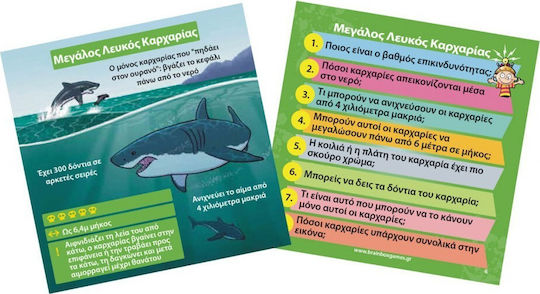 BrainBox Θηρευτές Educational Game Knowledge for 8+ years old Years Old
