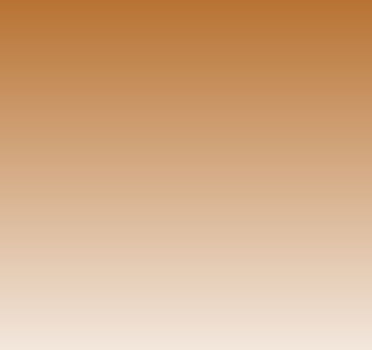 Montana Cans Σπρέι Βαφής Metallic Ακρυλικό με Μεταλλικό Εφέ Copper 400ml