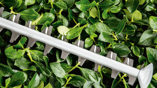 Bosch Universal HedgeCut 50 Ηλεκτρικό Μπορντουροψάλιδο 480W με Μήκος Λάμας 50cm