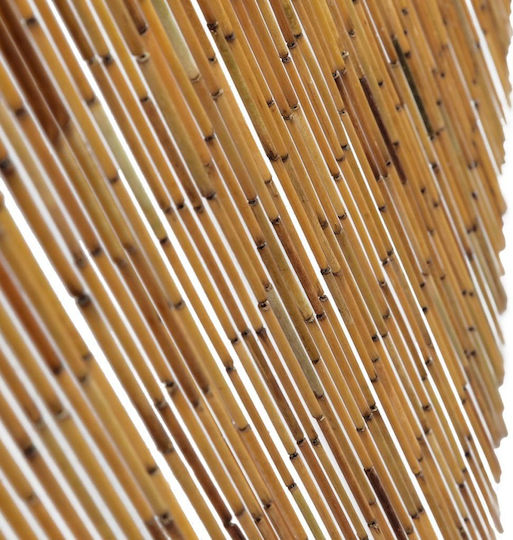 vidaXL 100 x 220 cm from Bamboo Plastic Door Curtain Brown 100x220cm 43723