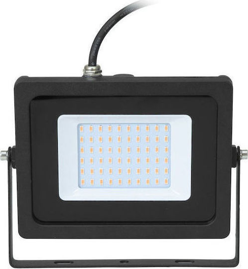 Eurolite Strobe Light LED IP FL-30 SMD Πορτοκαλί