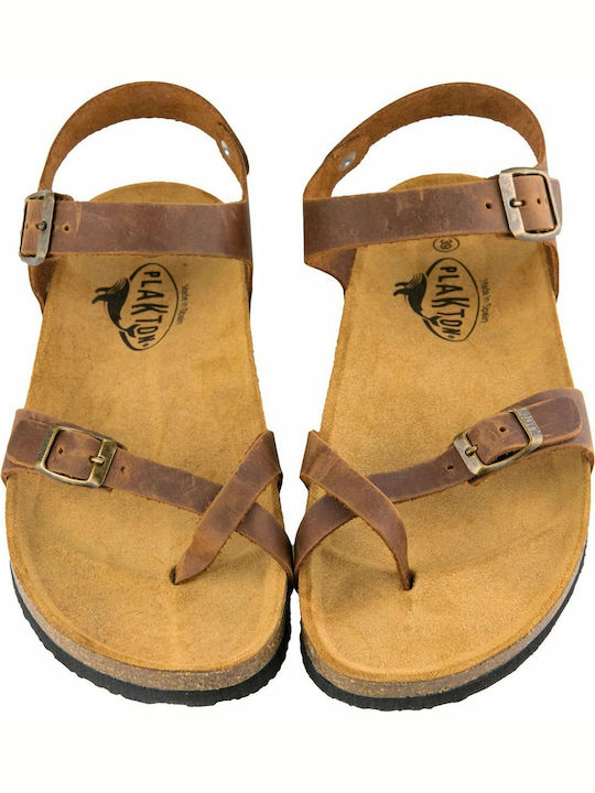 Leather Women's Flat Sandals Anatomic With a strap In Brown Colour