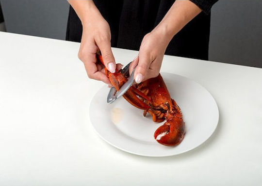 Nava Seafood Scissors Made of Stainless Steel