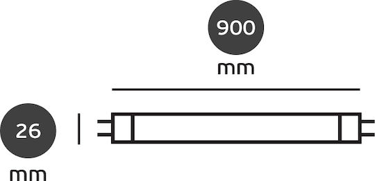 VK Lighting Λάμπα Φθορίου για Ντουί G13 με Σχήμα T8 12W