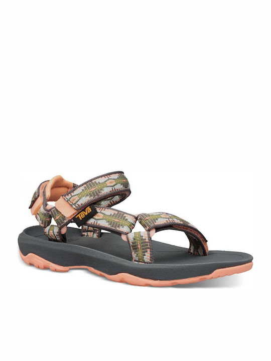 Teva