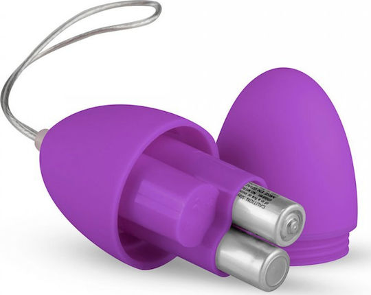 Easytoys Vibrating Egg Vibrator Egg with Remote Control 6cm Purple