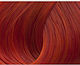 Lorvenn Beauty Color Supreme Reds Haarfarbe 9.6...