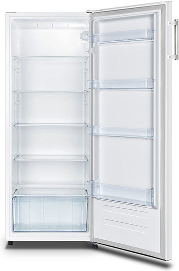Hisense Frigider de conservare 242lt Î143.4xL55xA54.2cm. Alb RL313D4AW1