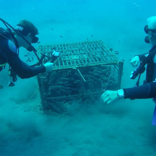 Gaia Wines Κρασί Θαλασσίτης Βυθισμένος Ασύρτικο Λευκό Ξηρό Σαντορίνης σε Ξυλοκιβώτιο 750ml