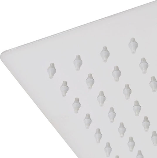 vidaXL Platz Duschkopf 20x20cm Inox