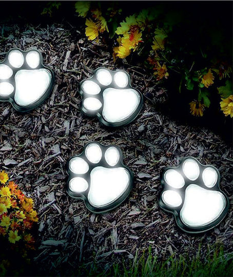 Lightex Paw Σετ 4 Ηλιακά Φωτιστικά Δαπέδου Ψυχρό Λευκό 7500K με Φωτοκύτταρο IP44 3.5x3.5εκ.