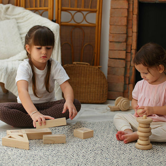 Plan Toys Τουβλάκια με Κενό Ξύλινα για 3+ Ετών 10τμχ