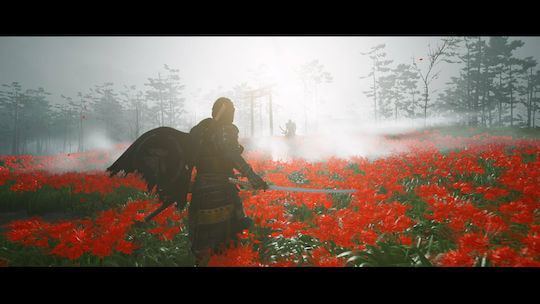 Ghost of Tsushima Collector's Edition PS4 Game