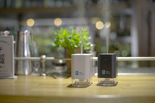 Mini Genie Sterilisator in Schwarz Farbe