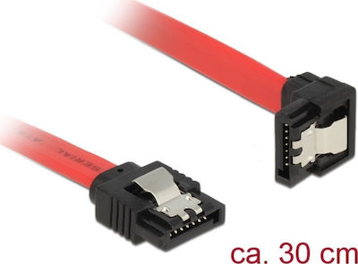 DeLock 7-Pin SATA III to 7-Pin SATA III Cable 30cm Red (83978)