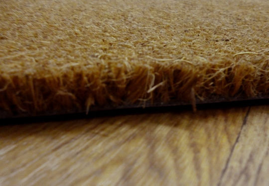 Eurofil Fußmatte Teppich mit rutschfester Unterlage Coir Pvc Braun pro Meter Dicke 30mm