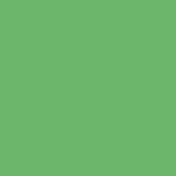 Flame Paint Spray Vopsea Flame Orange cu Matt E...
