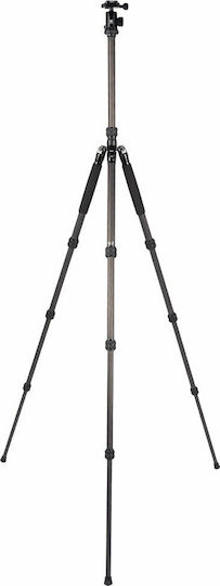 Sirui Traveler 7C Fotografie-Stativ & MS-01K -> & MS-01K