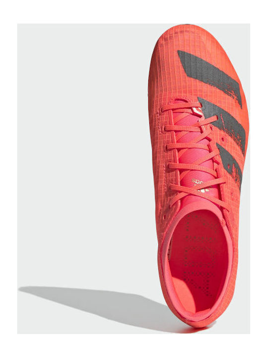 Adizero Ambition Sport Shoes Spikes Signal Pink / Core Black / Copper Metallic / Coral