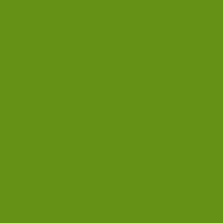 Flame Paint Spray Vopsea Flame Orange cu Matt E...