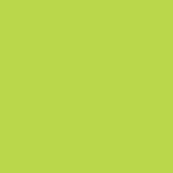 Flame Paint Spray Vopsea Flame Orange cu Matt E...