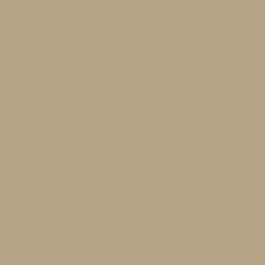 Flame Paint Spray Farbe Flame Orange Acryl mit Matt Effekt Grau Beige Hell 400ml