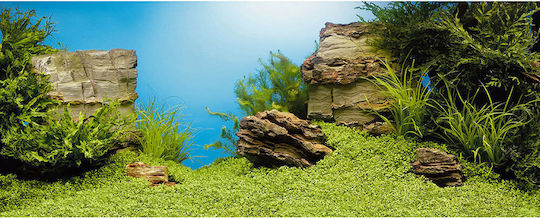 Juwel Double Face Aquarium Decoration Poster 86260