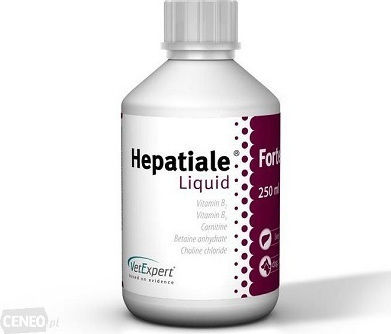 VetExpert Hepatiale Forte Liquid Συμπλήρωμα Διατροφής Σκύλου 250ml