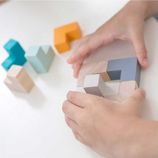 Wooden Kids Puzzle 3D Mini Cube 9pcs Plan Toys