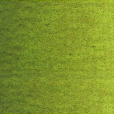 Royal Talens Van Gogh Λαδομπογιά Olive Green 620 20ml