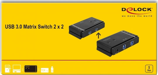 DeLock USB 3.0 Matrix Switch 2 x 2