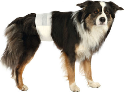 Trixie Diaper Pants Dog Για Αρσενικους Σκύλους S/M 12μχ Medium / Small 12pcs