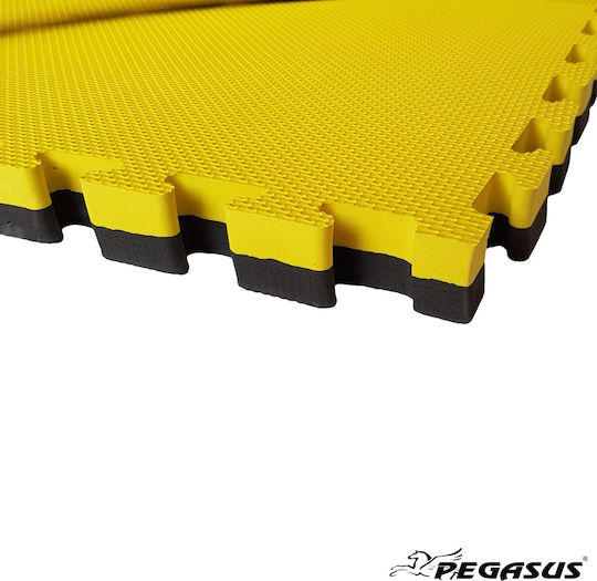 Pegasus Double Sided EVA Gym Floor Puzzle Tatami Mat Multicolour 100x100x2cm