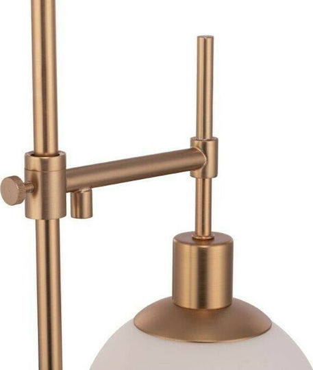 Maytoni Erich Metal Table Lamp for Socket E14 with White Shade and Gold Base
