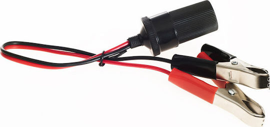 Tagred Pompa Electrică De Transfer Auto Pentru Ulei Apă Motorină 12V