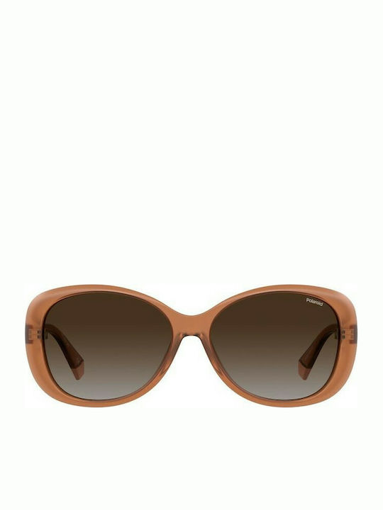 Polaroid Women's Sunglasses with Brown Acetate Frame and Brown Gradient Polarized Lenses PLD 4097/S 733/LA