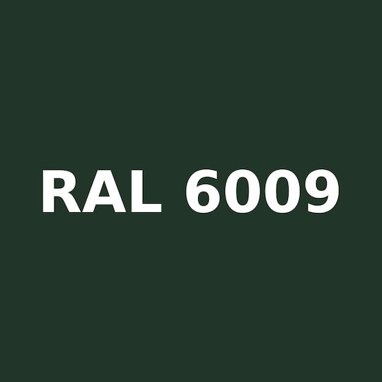Dupli Color Spray Paint Acryl Acrylic with Shiny Effect Fir Green RAL 6009 400ml