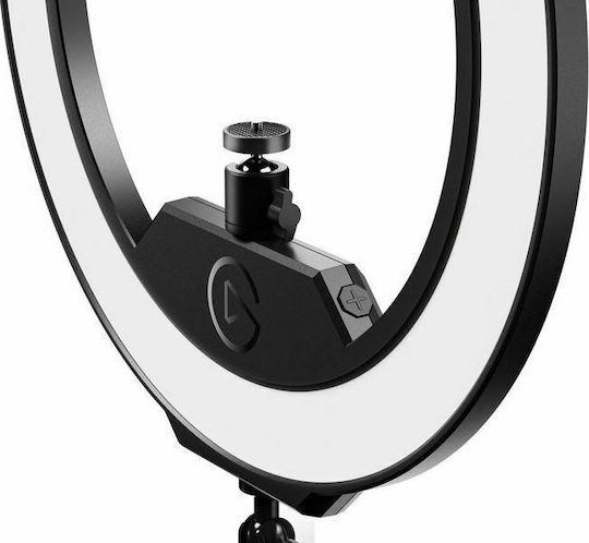 Elgato Ring Light 10LAC9901 Ring Light 31cm 2900 - 7000K with Desktop Stand/Mount Stand and Mobile Holder