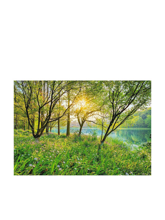 Wall Mural L368xW254cm