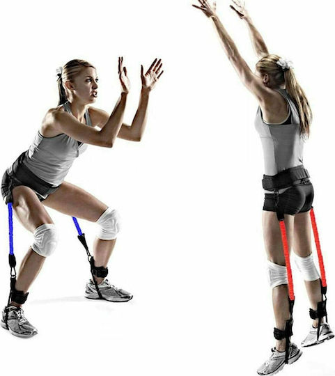 Factory Vertical Jump Trainer Тръбести ленти за фитнес с дръжки Комплект 4бр Черен