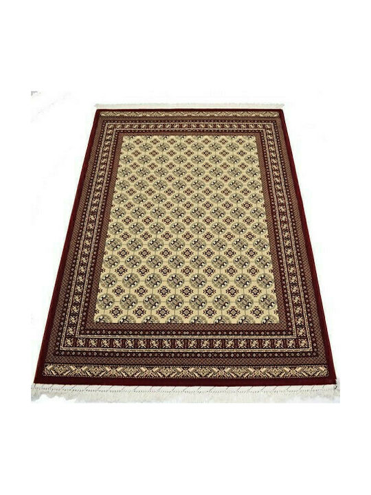 Eurofil 1649 Rug Rectangular Cordoba Berber