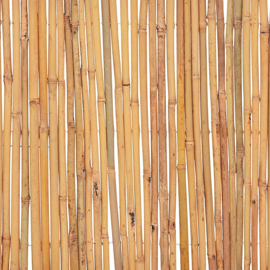 vidaXL Bambuszaun Bambus mit Ganzem Holz 30x500cm